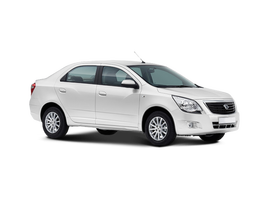 Ravon R4 Цвет: БЕЛО-ДЫМЧАТЫЙ